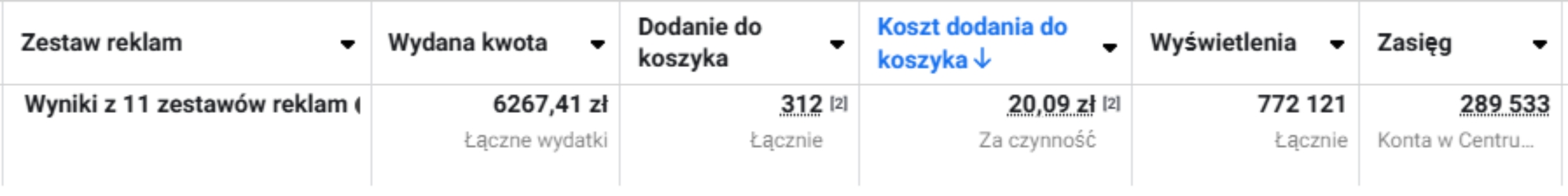 Wyniki kampanii reklamowej z maja